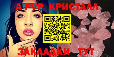 стаф Кунгур