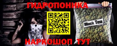 стаф Кунгур