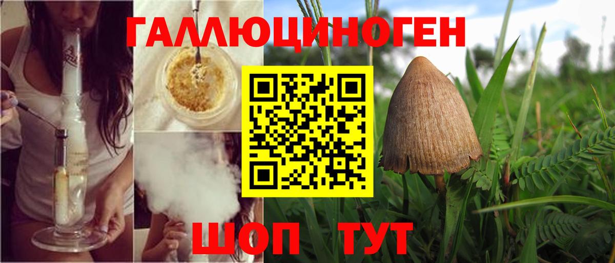 Псилоцибиновые грибы MAGIC MUSHROOMS Волжск